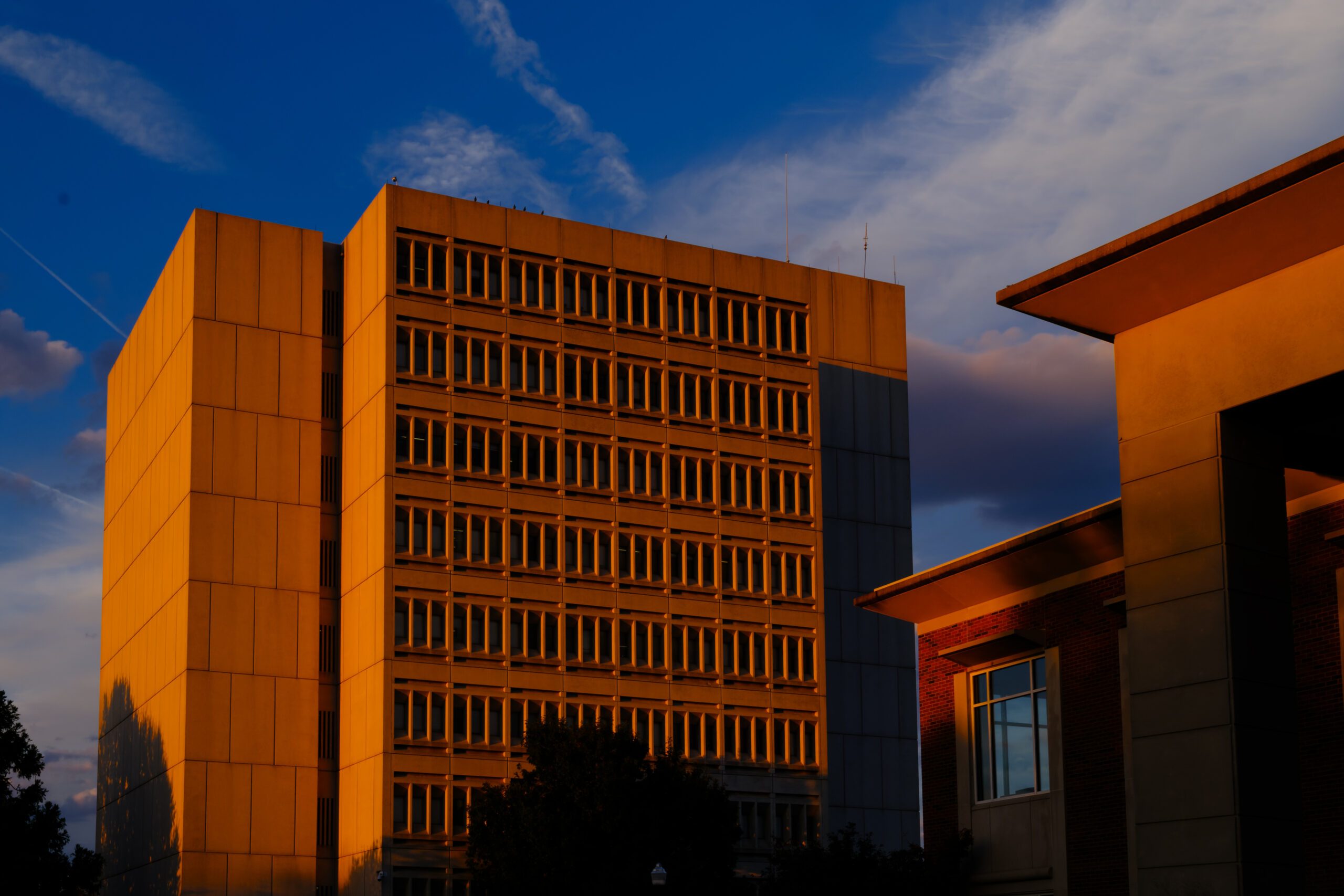 UNCG Jackson Library glows orange in the sunset.