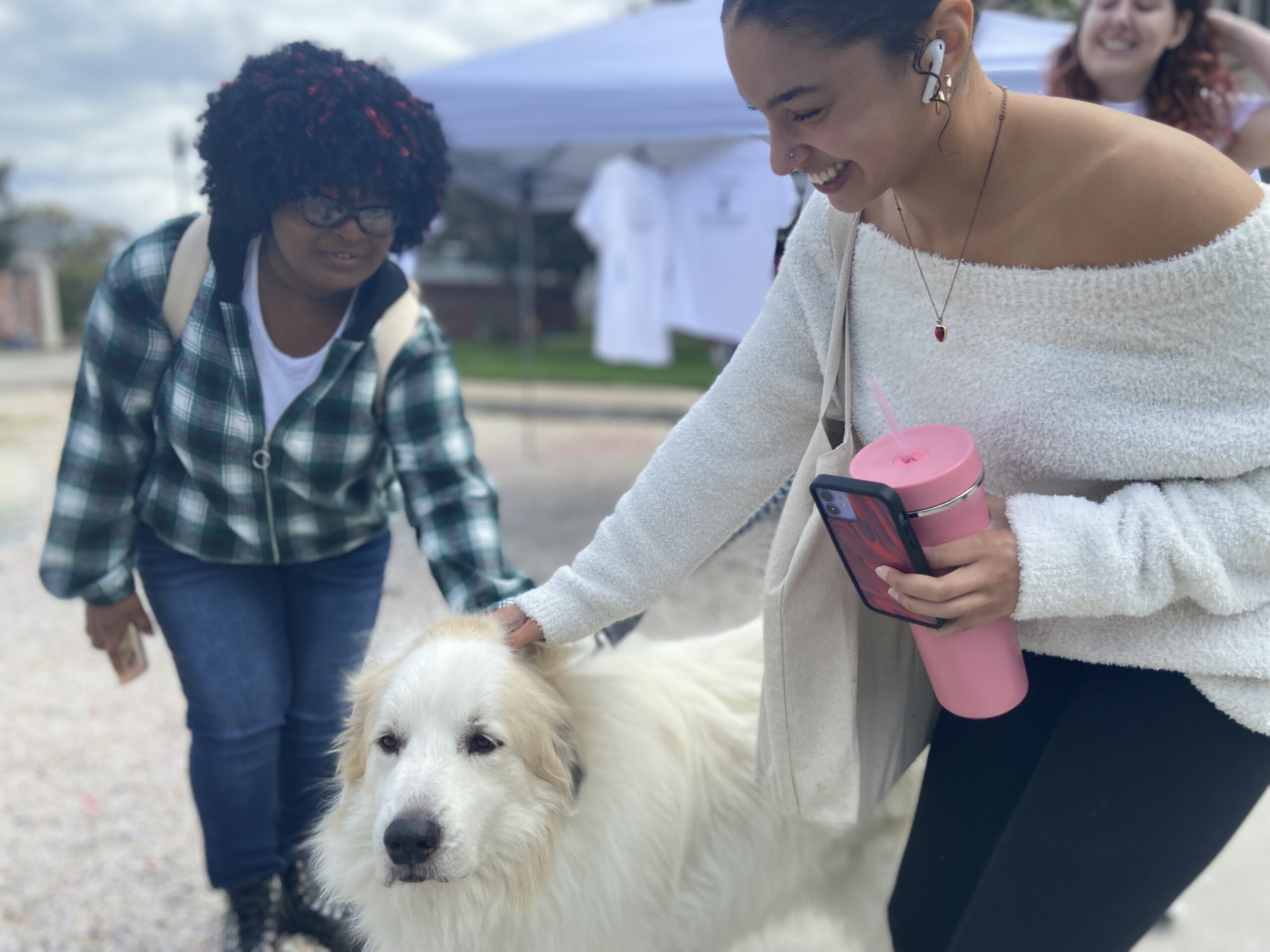 Close up on students petting a big dog.