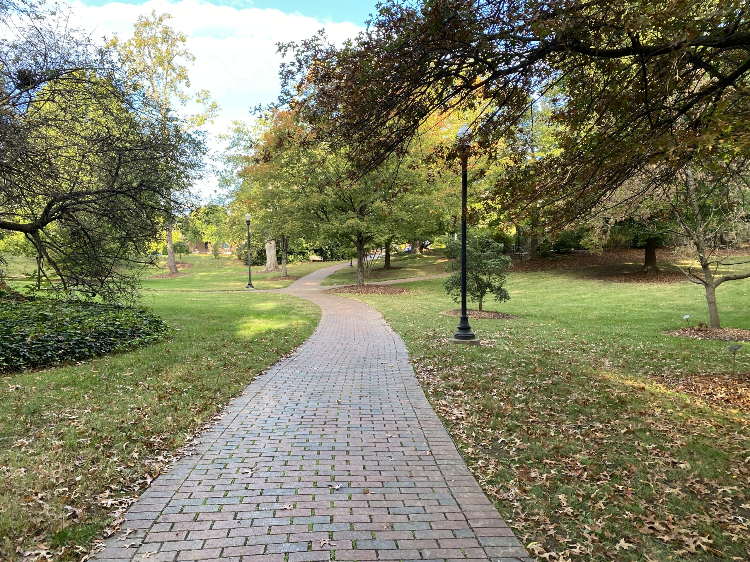 View of pathway in Foust Park surrounded by green trees.