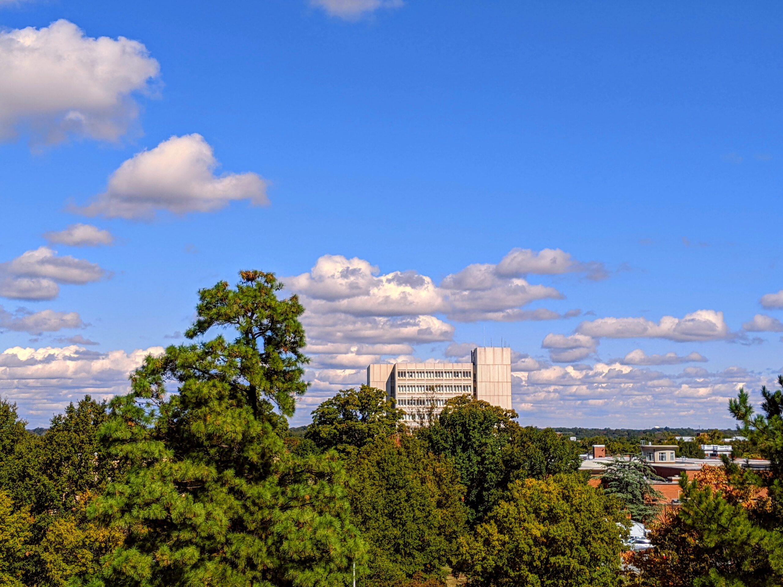 UNCG Jackson Library seen from afar