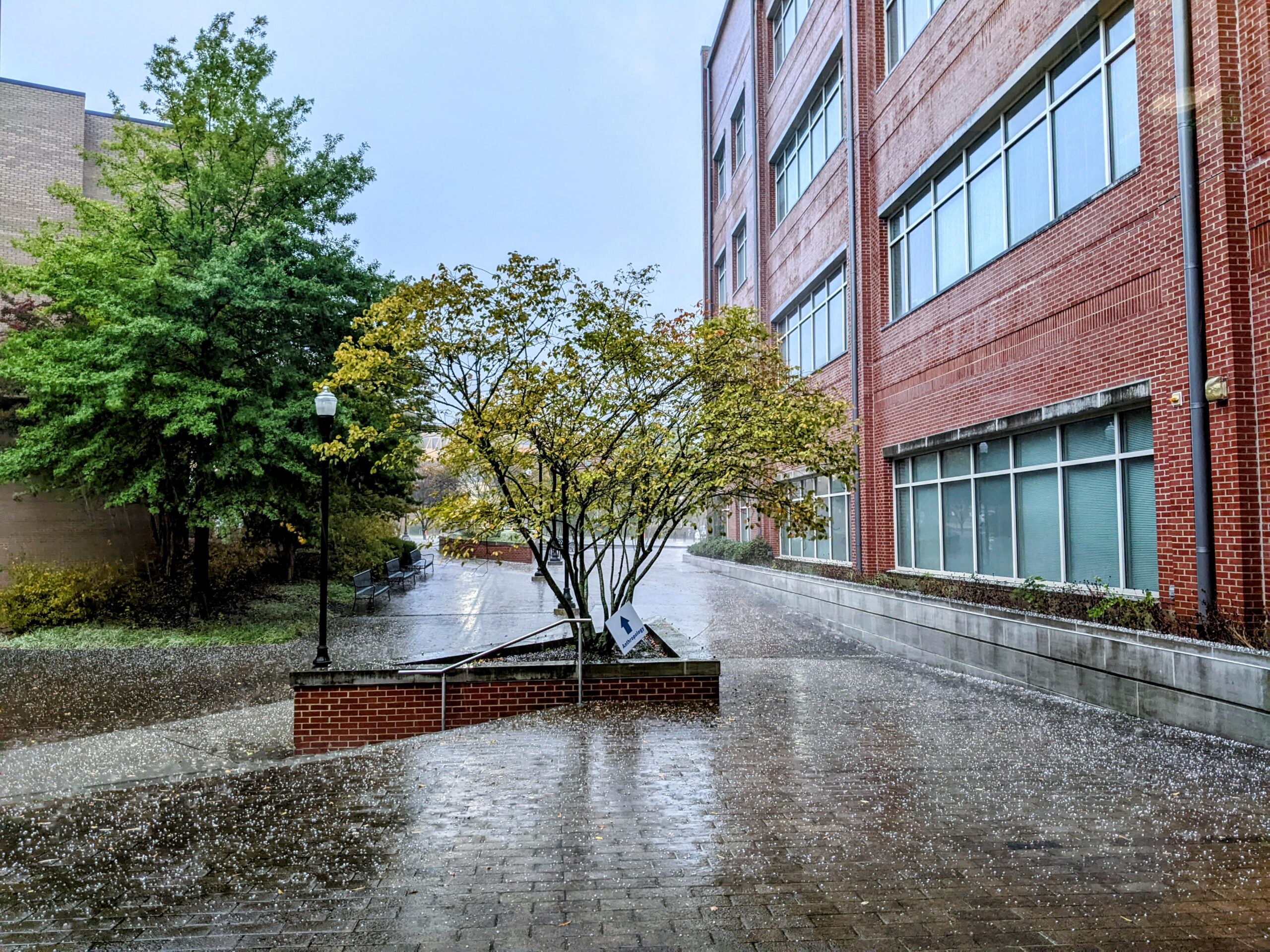 A sidewalk outside of a campus building with rain and hail bouncing off the bricks.