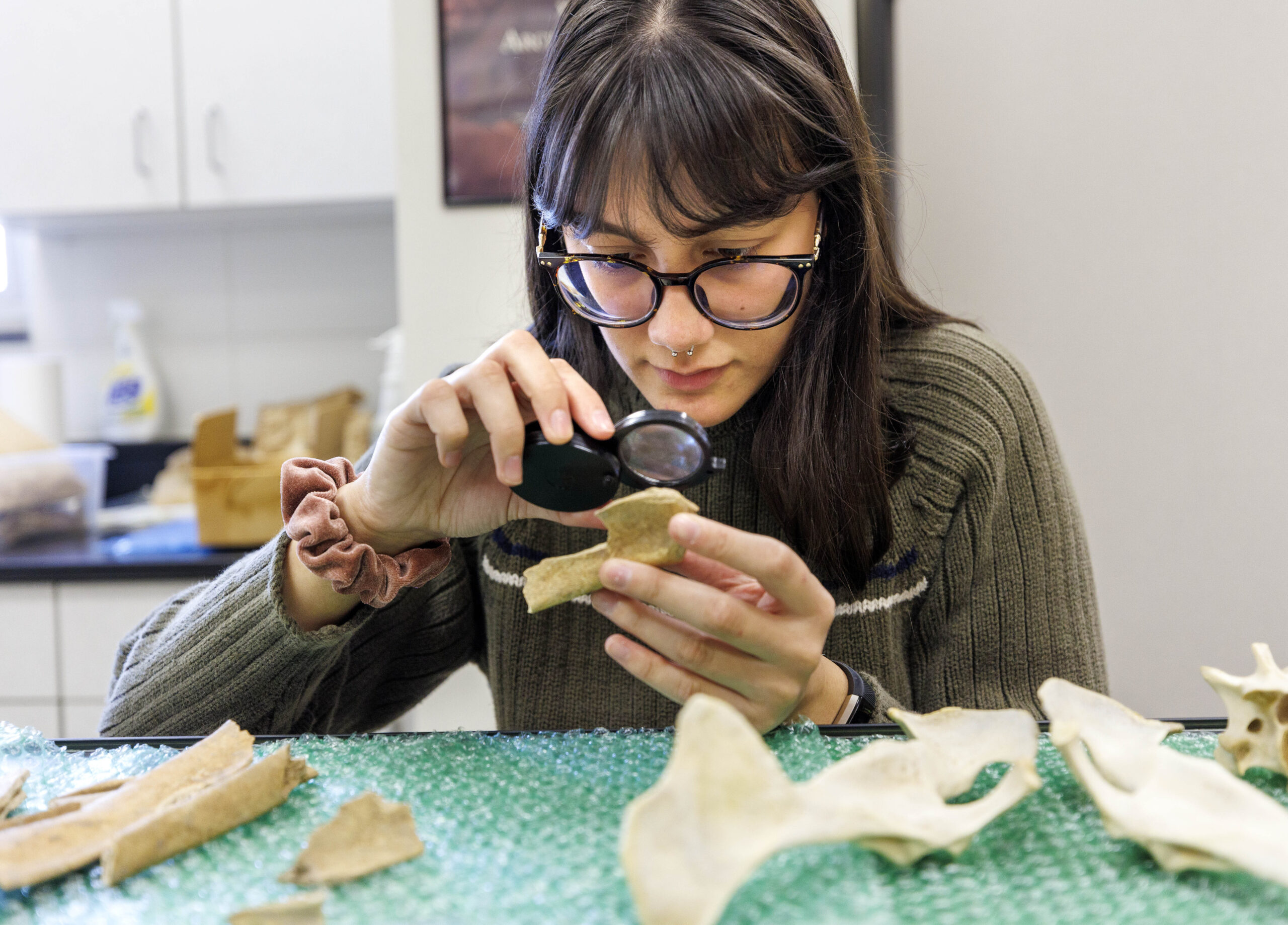Student studies a variety of animal bones for her zoo archaeology course project in the Graham Building. 