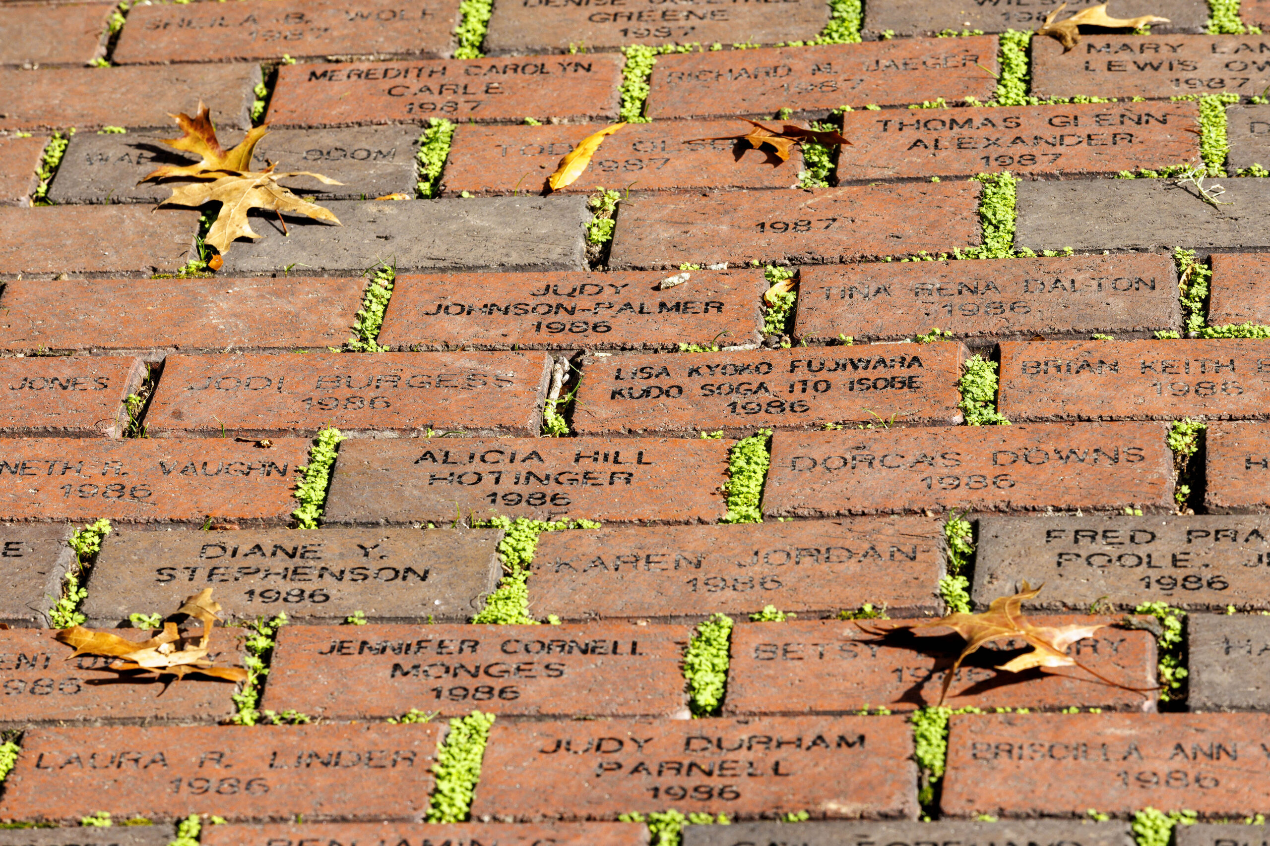 Fall leaves lie on a brick walkway with names carved into the bricks.