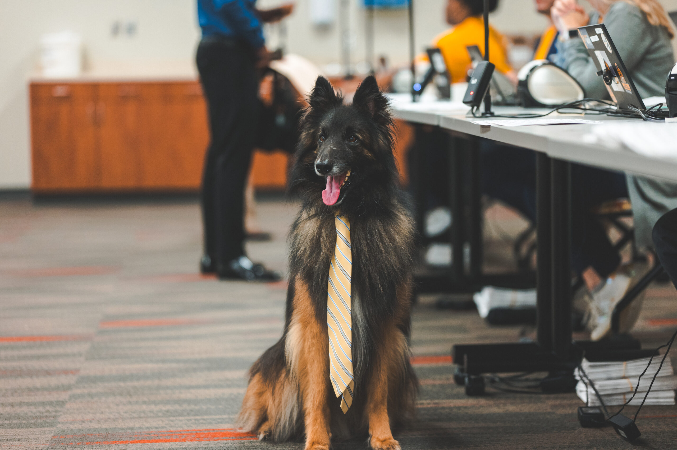 Odin the UNCG Police dog checks into the Spartan Career Fair