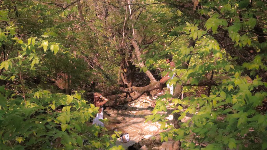Peabody Park in the spring.