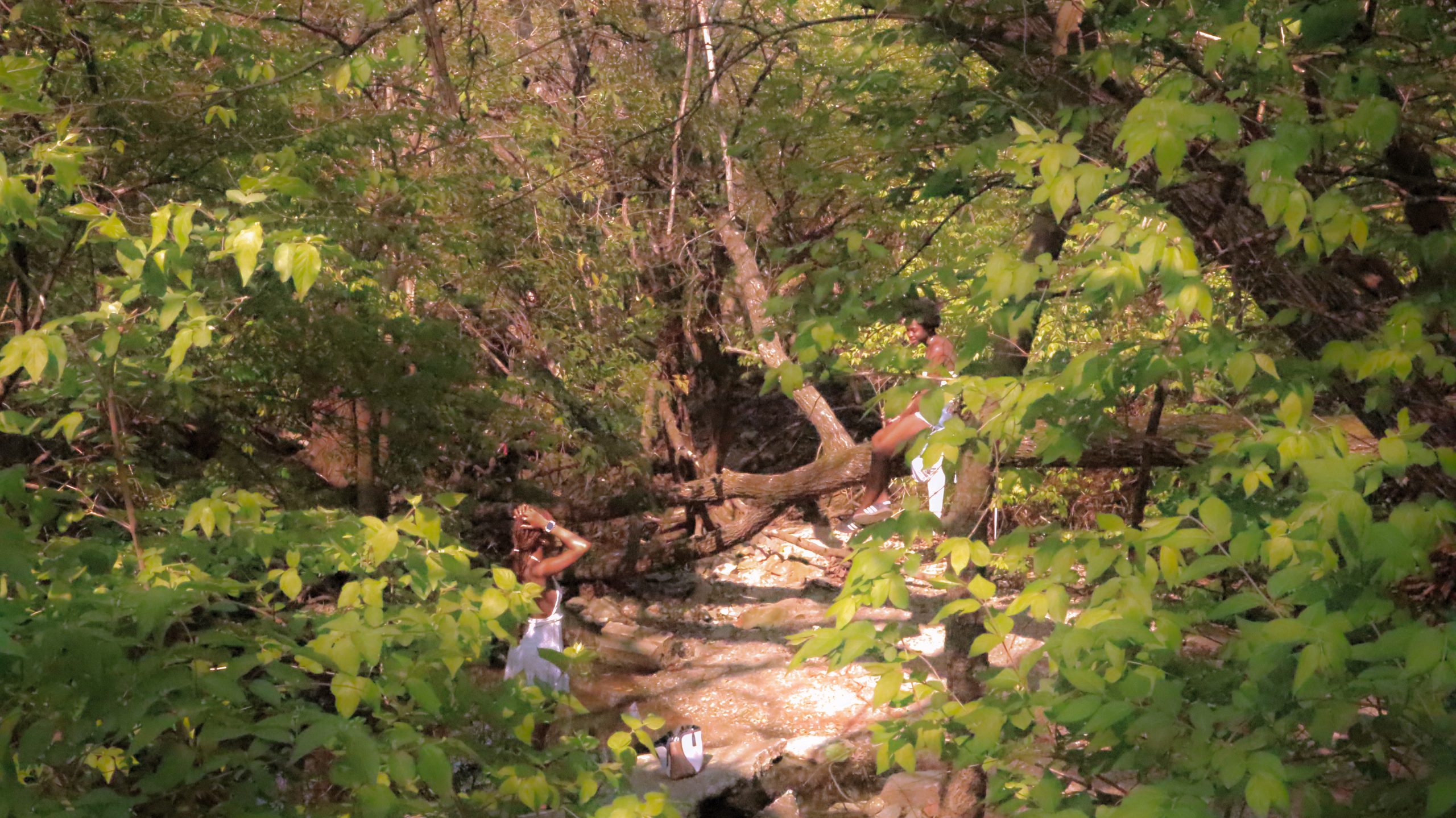 Peabody Park in the spring.