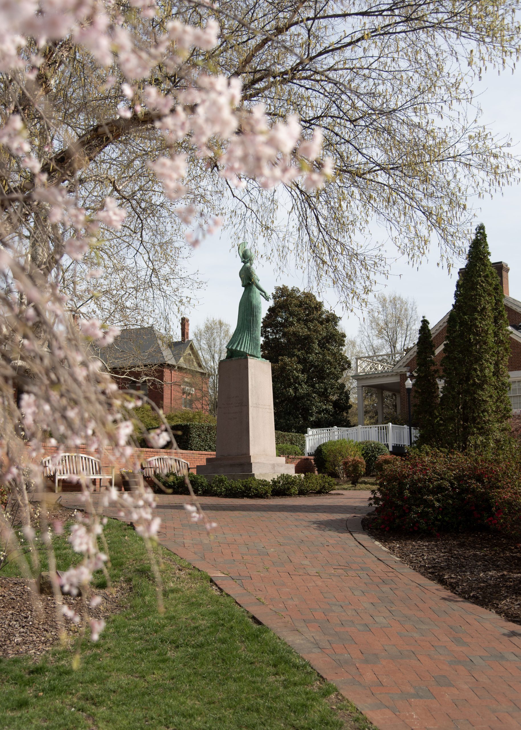 Beautiful cherry blossoms in bloom around Minerva