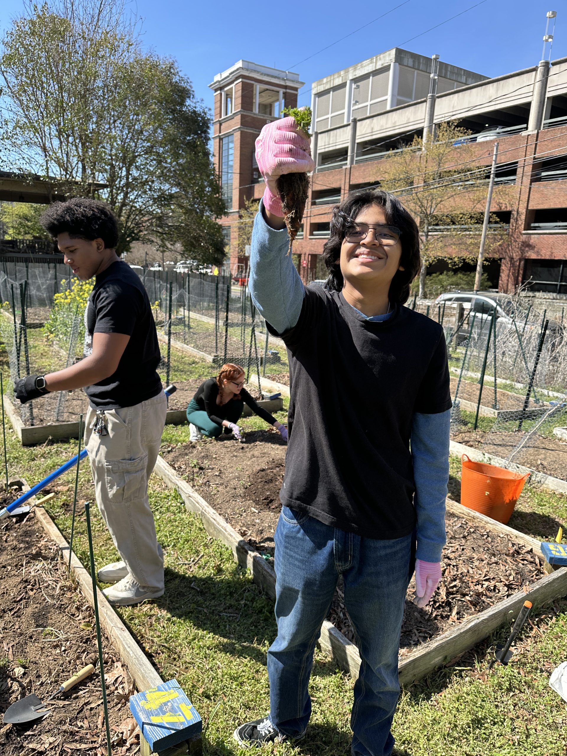 A smiling student holds up a plant while another two other students work in the background at UNCG Gardens.