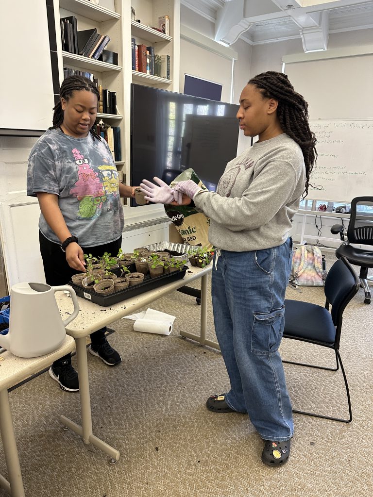 Two students handle a tray of plants on a table in a classroom.