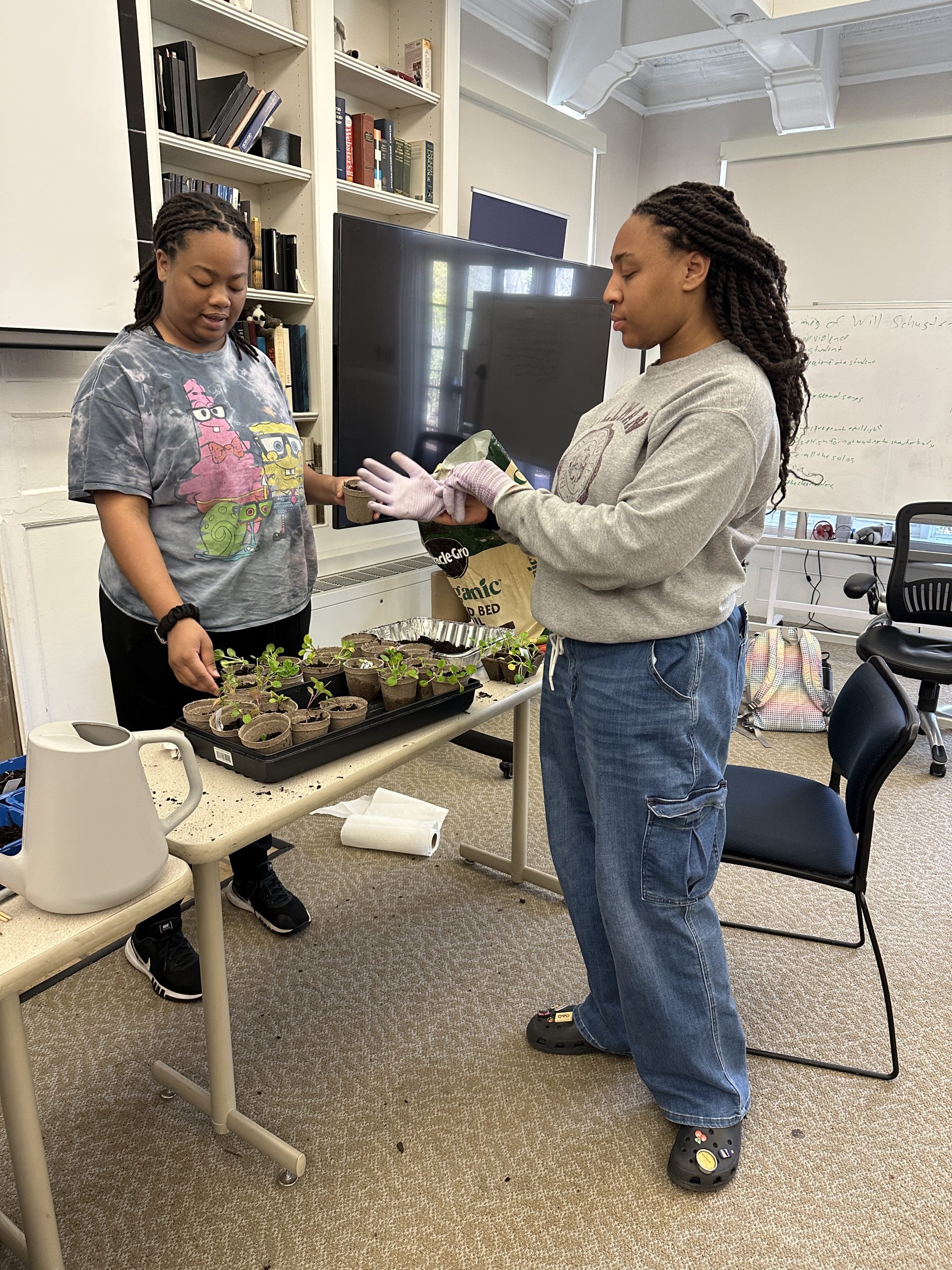 Two students handle a tray of plants on a table in a classroom.