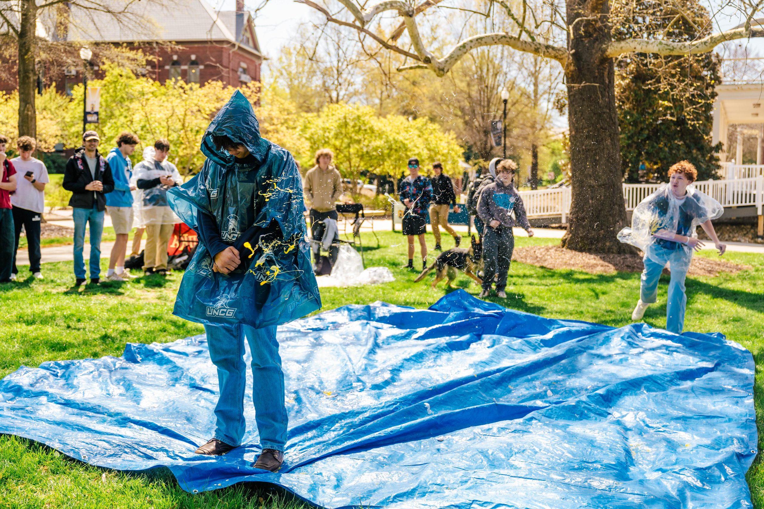 Pay to egg a frat Bro! Pi Kappa Alpha Fraternity raises money for St. Jude Children's Hospital on College.