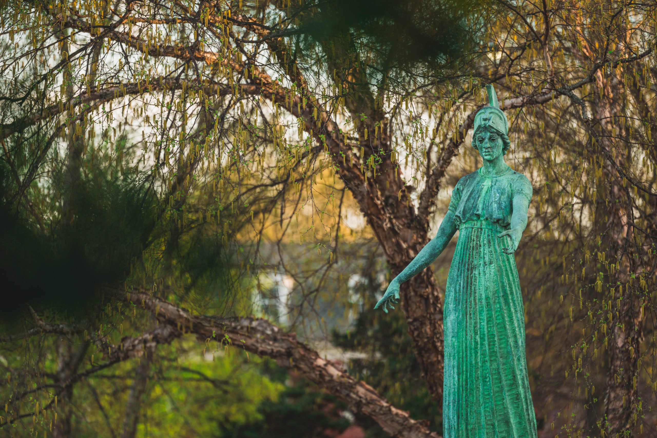 Peeking at Minerva statue through spring foliage.