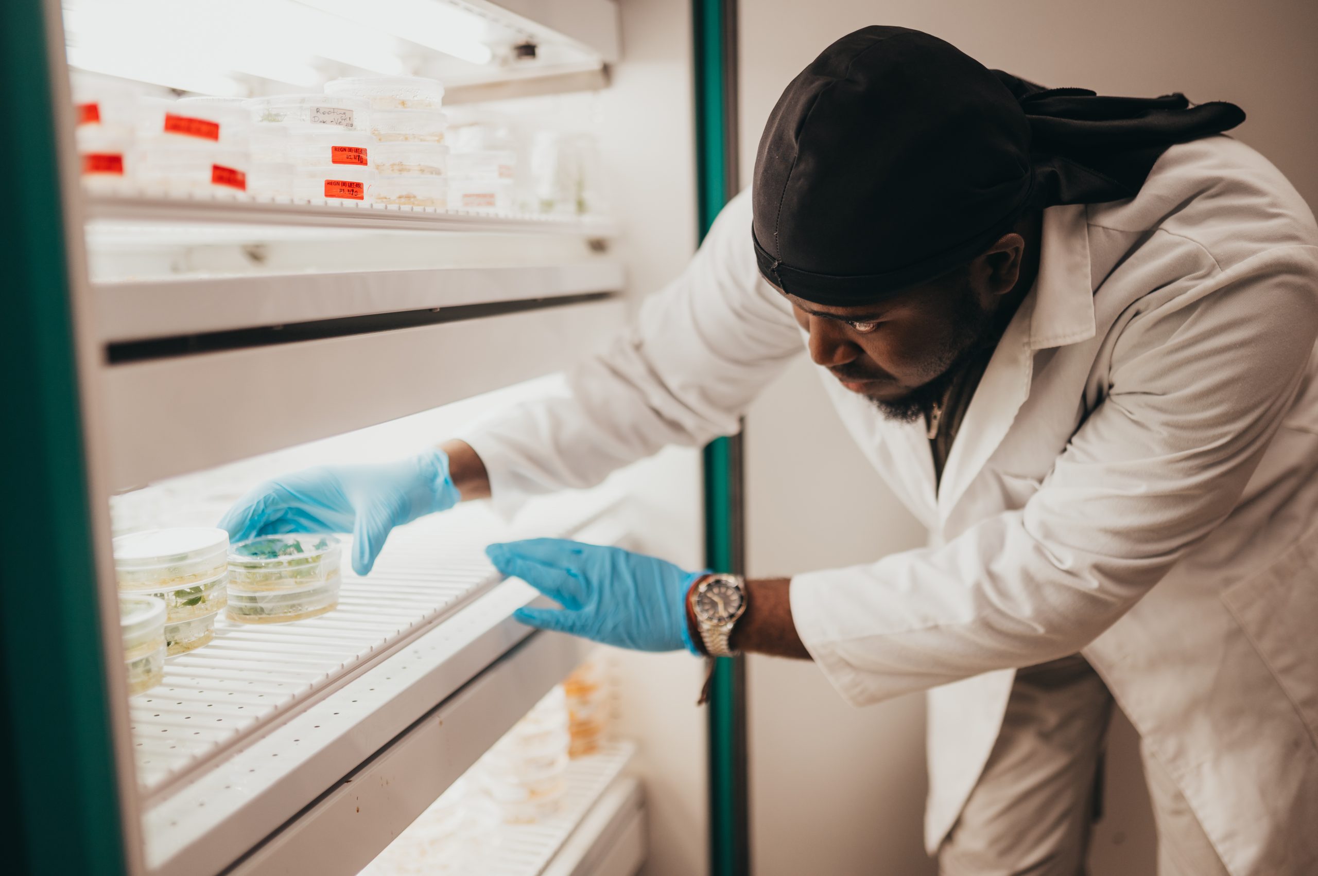 Students and Dr. Osena work on plant biotechnology in the lab.