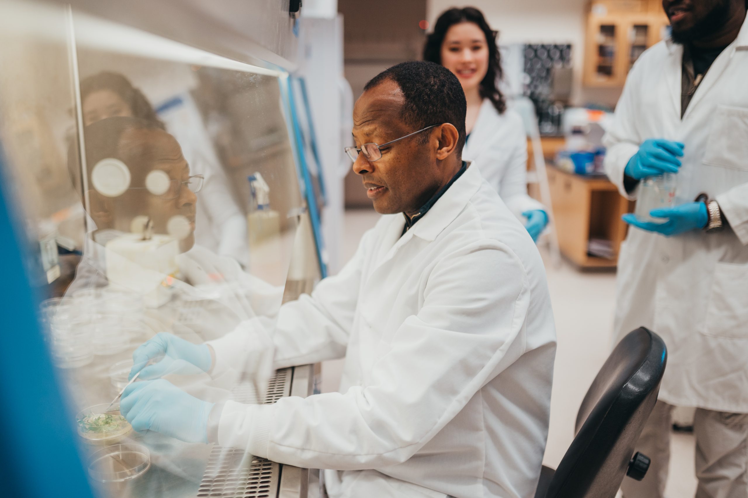 Students and Dr. Osena work on plant biotechnology in the lab